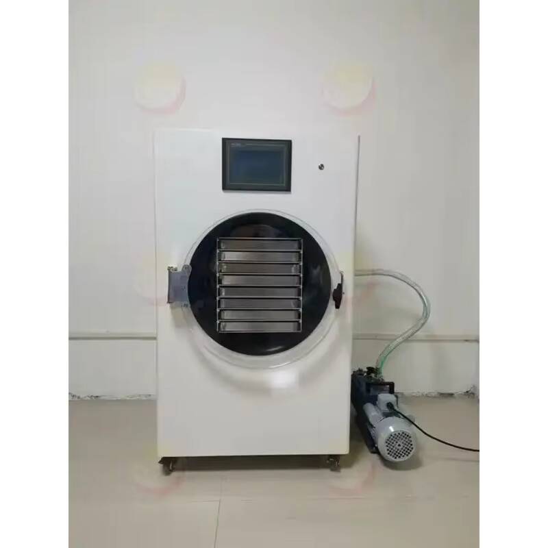 Vacuum Chamber Small - آلة تجفيف بالتجميد، آلة تجفيف تجميد